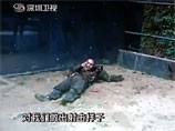 Китаец загрыз в зоопарке страуса и вскрыл себе вены (ВИДЕО)