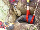 В Великобритании 35 пожарных 6 часов спасали из колодца пони В Великобритании 35 пожарных 6 часов спасали из колодца пони