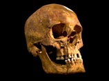 Британские ученые на генном уровне подтвердили подлинность обнаруженных в городе Лестер останков, приписывавшихся легендарному королю Ричарду III, который погиб в 1485 году
