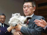 Сам сибирский кот, отличающийся необычным пепельным окрасом, в ходе церемонии вел себя очень спокойно. Когда Сатакэ взял его на руки, кот совсем не сопротивлялся