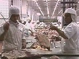 Рактопамин содержится в животноводческой продукции из США, Канады, Мексики, Бразилии Рактопамин содержится в животноводческой продукции из США, Канады, Мексики, Бразилии