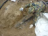 В Кабардино-Балкарии обнаружены редчайшие останки южного мамонта