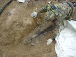 В Кабардино-Балкарии обнаружены редчайшие останки южного мамонта В Кабардино-Балкарии обнаружены редчайшие останки южного мамонта