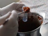 Конское мясо нашлось в пачках замороженных фрикаделек, изготовленных в Швеции из якобы говядины и свинины Конское мясо нашлось в пачках замороженных фрикаделек, изготовленных в Швеции из якобы говядины и свинины