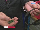 ФСИН накупила недействующих электронных браслетов для зэков на 1,3 миллиарда ФСИН накупила недействующих электронных браслетов для зэков на 1,3 миллиарда