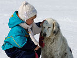 Петербургские депутаты хотели  снабдить животных паспортами и запретить детям гулять с большими собаками 