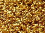 Житель Забайкалья пытался вывезти в Китай 11 кг золота