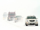 В штате Вирджиния из-за сильного снегопада объявлено чрезвычайное положение