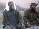 США обвинили перехваченного зятя бен Ладена в заговоре с целью убийства американцев