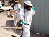 Более 40 детей попали в больницу в результате нападения пчелиного роя в городе Бенони на северо-востоке ЮАР, сообщил в субботу журналистам представитель местной службы скорой помощи Крис Бота
