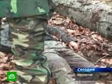Пять бандитов уничтожены на границе Чечни и Ингушетии
