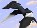 После тщательных исследований ученые объявили, что Дейзи нашла неизвестный вид птерозавров, который решено было назвать в честь нее Vectidraco daisymorrisae После тщательных исследований ученые объявили, что Дейзи нашла неизвестный вид птерозавров, который решено было назвать в честь нее Vectidraco daisymorrisae