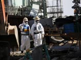 Крыса отключила электроснабжение на аварийной АЭС "Фукусима-1"