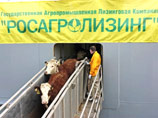 Статус экс-министра Скрынник в уголовном деле определит ее почерк Статус экс-министра Скрынник в уголовном деле определит ее почерк