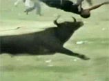 Двое колумбийских тореадоров-самоучек погибли во время бега с быками - одного зверь "заколол" в сердце