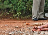 В мексиканском штате Тамаулипас прокуратура расследует обстоятельства массового убийства. Там на Пасху найдено девять тел со следами насильственной смерти. Причем среди погибших могут быть американцы