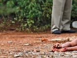 В Мексике в автомобиле с номерами США найдены девять трупов В Мексике в автомобиле с номерами США найдены девять трупов