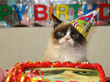 Интернет празднует день рождения "сердитого кота", живущего под девизом: "Я был счастлив однажды. Это было ужасно"