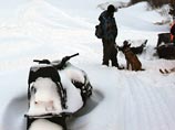 В горах Хакасии обнаружен погибшим турист, попавший под снежную лавину