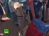 Малийский фермер убил и съел верблюда, подаренного президентом Франции