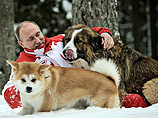 Заметное оживление в Сети вызвали опубликованные накануне на сайте Кремля фотографии прогулки Владимира Путина вместе с двумя его собаками