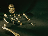 В дворцовом тайнике свергнутого президента ЦАР мародеры нашли скелеты вместо драгоценностей
