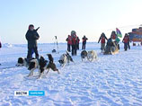 Собаки спасли провалившегося в полынью Федора Конюхова