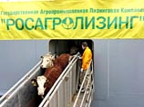 Скрынник отрицает, что из Франции звонила своему арестованному экс-помощнику: "Это полная чушь" Скрынник отрицает, что из Франции звонила своему арестованному экс-помощнику: "Это полная чушь"