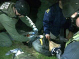 Джохар Царнаев, которого американские спецслужбы подозревают в совершении теракта во время марафона в Бостоне, ранен в шею