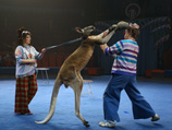 Рауфа Расулова защитники животных обвиняют в издевательствах над кенгуру Чарли, принимавшим участие в съемках фильма "Бой с тенью-3"