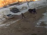 В ХМАО полицейский организовал жестокое избиение с ножевыми ранениями (ВИДЕО)