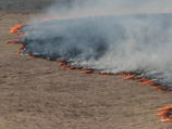 Природный пожар в Хинганском заповеднике в Амурской области, который угрожает не только уникальной природе, но и гнездам аистов и редких журавлей, охватил уже 5 тысяч гектаров