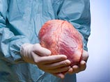 Новый закон разрешит посмертное изъятие органов у детей, а родным покойных даст два часа на раздумья Новый закон разрешит посмертное изъятие органов у детей, а родным покойных даст два часа на раздумья