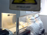 Китайские ученые скрестили свиной и птичий грипп