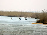 Муравьевский парк устойчивого природопользования находится в Амурской области. В России это первый с 1917 года негосударственный природный парк