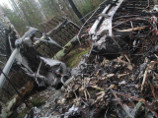 С места крушения Ан-2 в Свердловской области вывезены останки более десяти человек