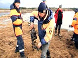 Вертолет, разбившийся с главой иркутского МЧС, мог нелегально везти взрывчатку Вертолет, разбившийся с главой иркутского МЧС, мог нелегально везти взрывчатку