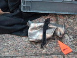 Джохар Царнаев защитил вдову брата от обвинений в терроризме Джохар Царнаев защитил вдову брата от обвинений в терроризме
