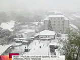 В Алтайский край сегодня ненадолго вернулась зима - неожиданно пошел снег