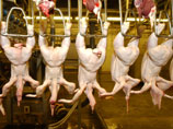 "Куриная война": Украина прекратила поставки курятины в Таможенный союз