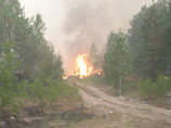 Госсовет РФ прислушался к требованиям "Гринпис" и объявил бой лесным пожарам