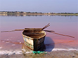 Челябинское озеро Смолино окрасилось розовым из-за утечки из коллектора