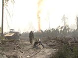 Рослесхоз и власти Подмосковья предупреждают о пожароопасных обширных лесных площадях, где из-за жука-короеда много сухостоя