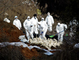Более 160 тыс. уток уничтожены на птицеводческой ферме близ столицы КНДР в целях предотвращения распространения птичьего гриппа штамма H5N1