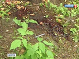 Следы обезвреженных в Орехово-Зуеве террористов ведут в Башкирию, узнал "МК" Следы обезвреженных в Орехово-Зуеве террористов ведут в Башкирию, узнал "МК"