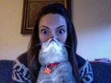 В интернете новый бум - пользователи сети выкладывают фотографии, на которых с помощью котов имитируют бороды