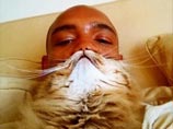 Апогея модное увлечение достигло в 2012 году, тогда был создан сайт cat-beard.com, на котором каждый может похвастаться своей фотографией с бородой из кота