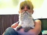 Новый бум в интернете: люди выкладывают фото с бородами, сделанными из котов