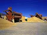 Разнонаправленная пшеница: зерно дешевеет в центре России, а на юге и в Сибири цены растут