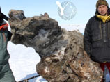 В Якутии обнаружена уникальная туша мамонта - впервые за 112 лет в такой сохранности и с жидкой кровью